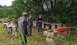 西安二环内爆料案件最新,真相即将揭晓！