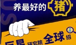 辟谷套餐爆料视频大全最新,最新爆料视频大全深度解析