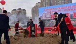 石河子最新爆料消息,揭秘城市蜕变背后的故事