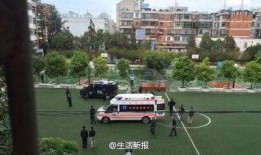 云南小学爆料事件最新消息,真相揭开，家长震惊不已