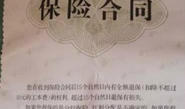 河南省银行业最新爆料,揭秘行业变革与创新发展